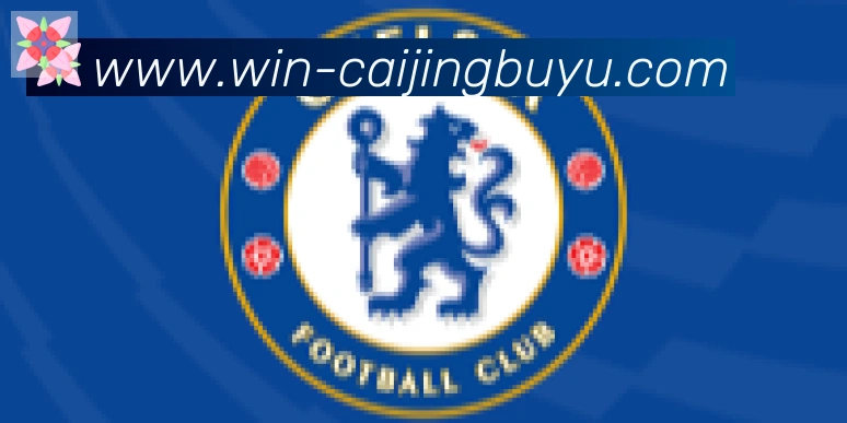 彩鲸捕鱼合作伙伴